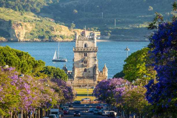 belem tower jacaranda blooming purple blue trees and sailboa 7