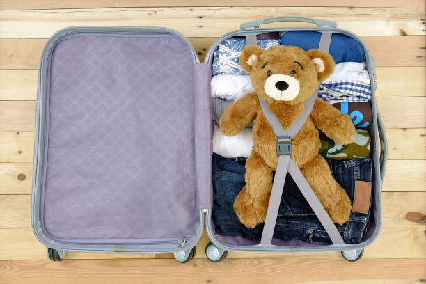 high angle view of teddy bear and clothes in suitcase2188171025
